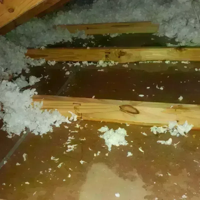 Attic Water Damage in Johnsonville, TN